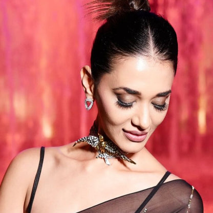 Bird Shiny Choker