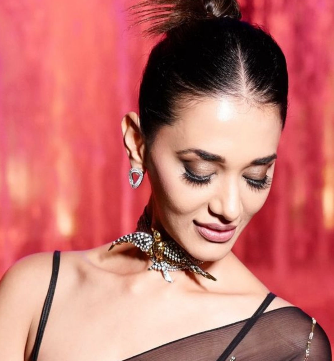 Bird Shiny Choker