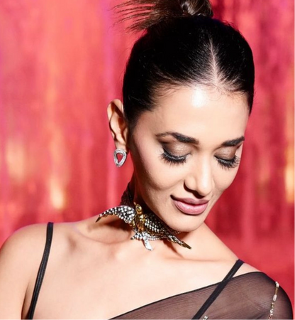 Bird Shiny Choker